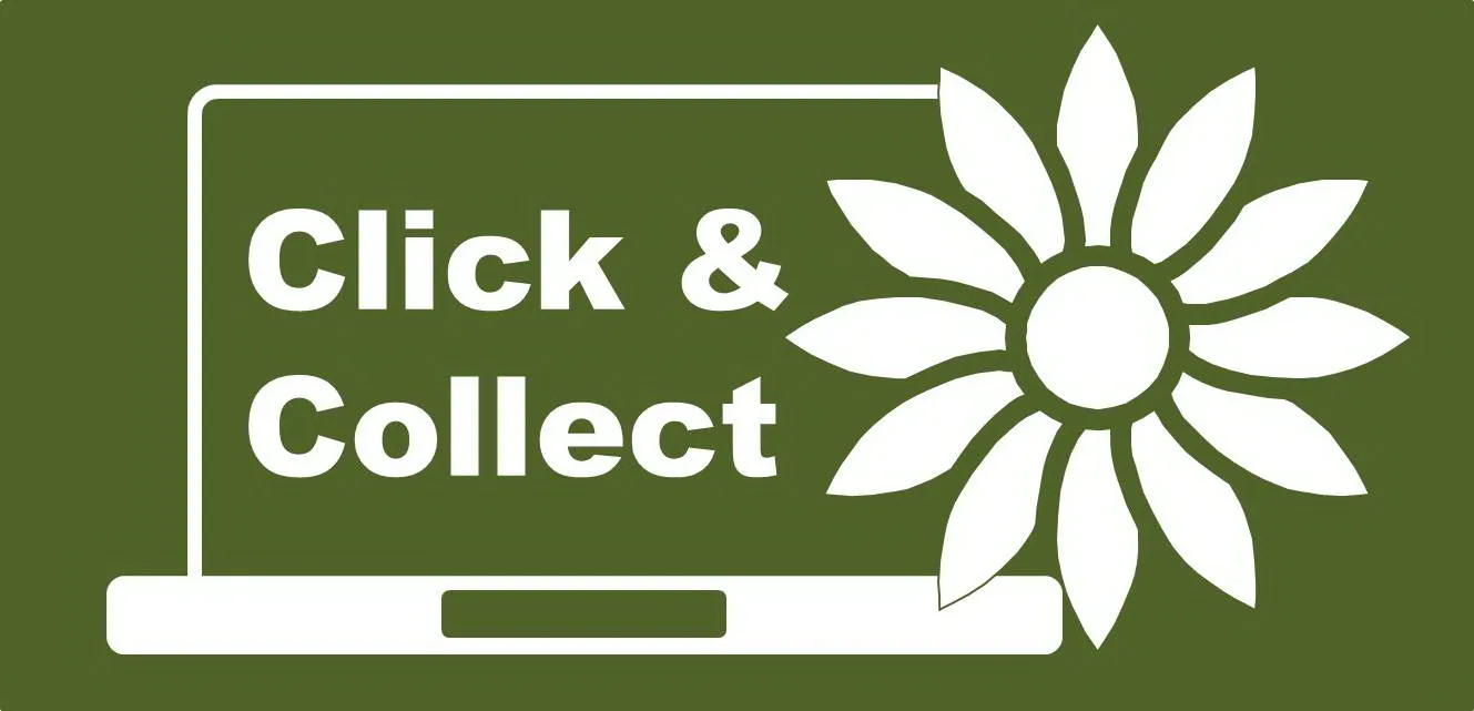 Flower Fashions, landscaping & tree care in Aberdeen