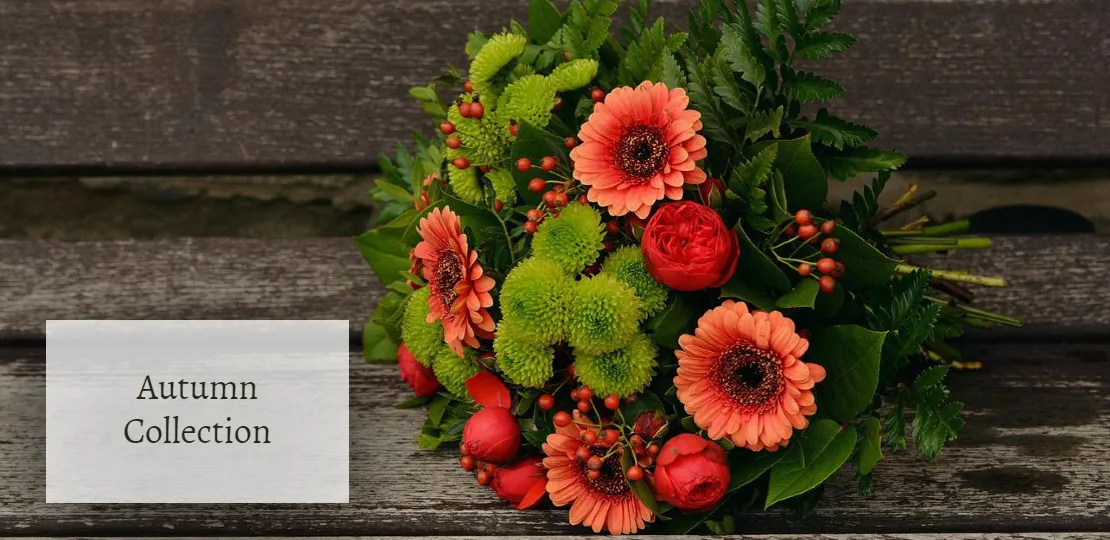 Flowers of Elegance, landscaping & tree care in Belfast
