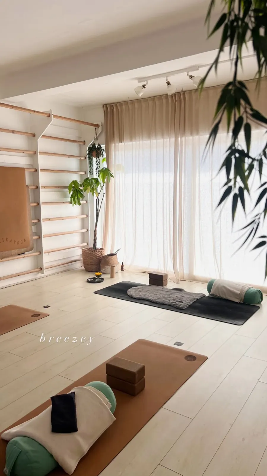 Trika Yoga premises or product